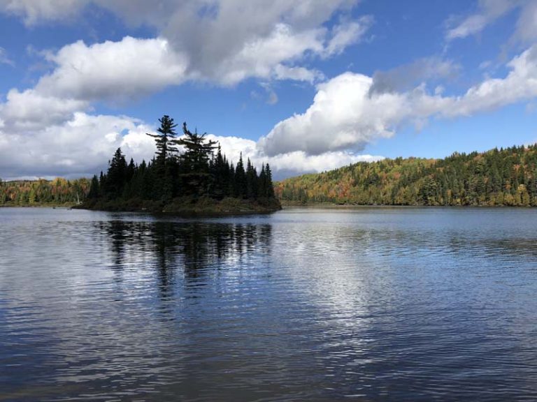 Forfaits de chasse aux oiseaux au petit gibier — Pourvoirie Domaine du Renard Bleu – Pourvoirie Domaine du Renard Bleu